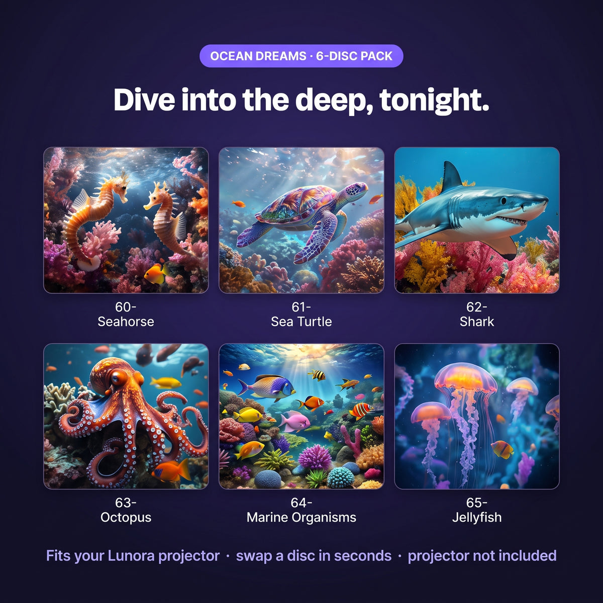 The 6 discs: seahorse, sea turtle, shark, octopus, coral reef and jellyfish